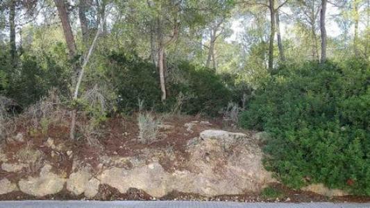 Vente Terrain CALA-VINYES 07181