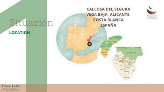 Vente Maison CALLOSA-DE-SEGURA 03360
