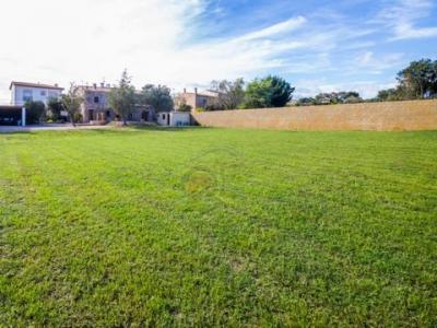Vente Maison CALONGE 07669