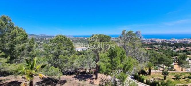 Vente Terrain CALPE 03710