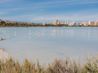 Vente Appartement CALPE 03710