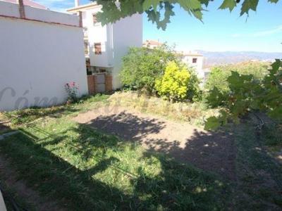 Vente Terrain CANILLAS-DE-ACEITUNO 29712