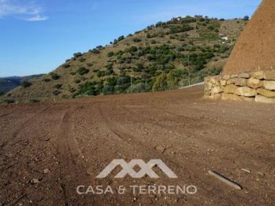 Vente Terrain CANILLAS-DE-ACEITUNO 29712