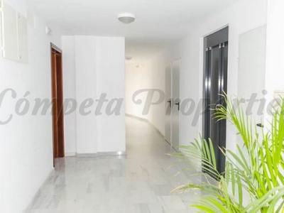 Vente Appartement CANILLAS-DE-ALBAIDA 29755