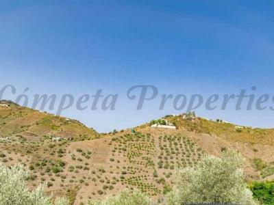 Vente Terrain CANILLAS-DE-ALBAIDA 29755