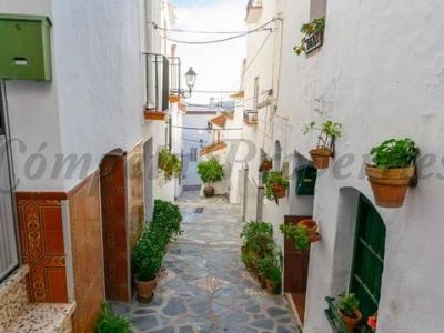 Vente Maison CANILLAS-DE-ALBAIDA 29755