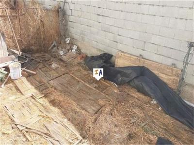 Vente Maison CARCABUEY 14810