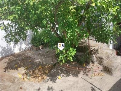 Vente Maison CARCABUEY 14810