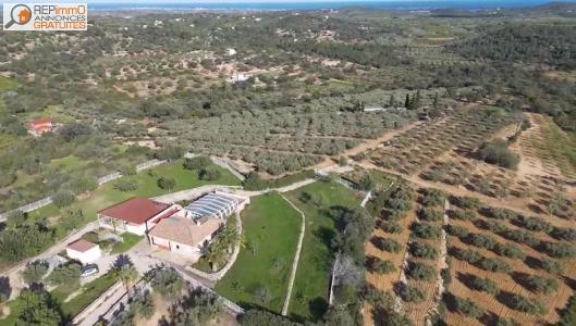 Vente Maison 2 pices CERVERA-DEL-MAESTRE 12578
