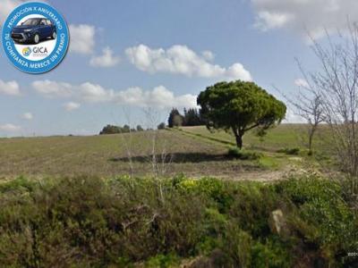 Vente Terrain CHICLANA-DE-LA-FRONTERA 11130