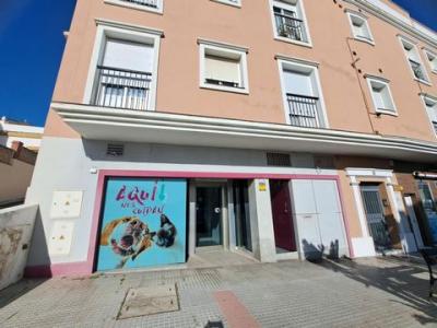 Vente Local commercial CHICLANA-DE-LA-FRONTERA 11130