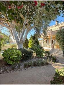 Vente Maison CIUDAD-QUESADA 03170