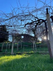 Vente Maison COBRES 36142