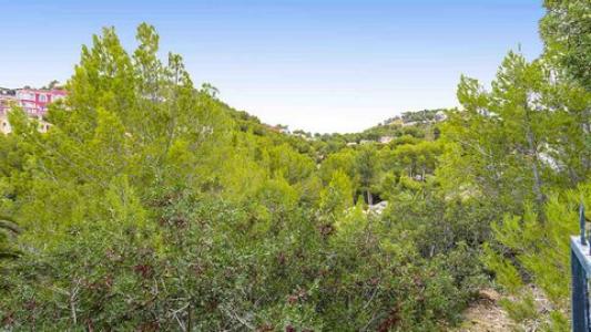 Vente Terrain COSTA-DE-LA-CALMA 07183