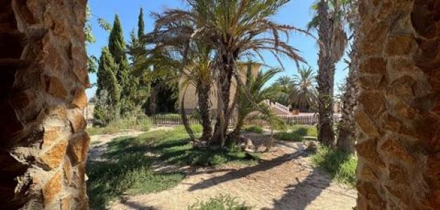 Vente Maison CREVILLENTE 03339