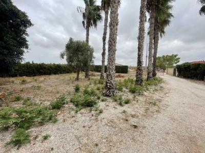Vente Maison DAYA-VIEJA 03177
