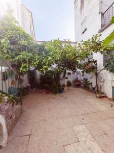 Vente Maison ECIJA 41400