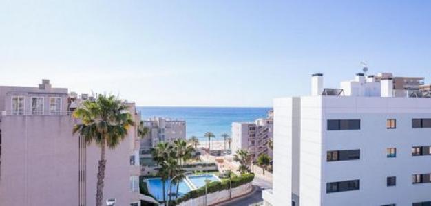 Vente Appartement EL-CAMPELLO 03560