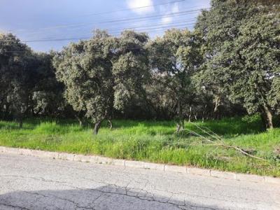 Vente Terrain EL-CASAR 19170
