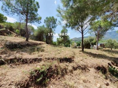 Vente Terrain EL-PORT-DE-LA-SELVA 17489