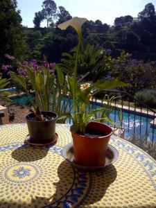 Vente Maison ESTEPONA 29680