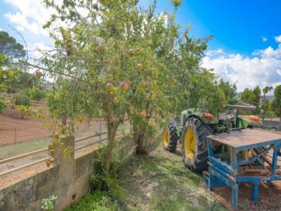 Vente Terrain FELANITX 07200