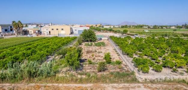 Vente Terrain FORMENTERA-DEL-SEGURA 03179