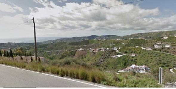 Vente Terrain FRIGILIANA 29788