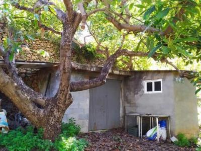 Vente Terrain FRIGILIANA 29788