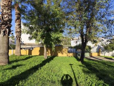 Vente Terrain GELVES 41120