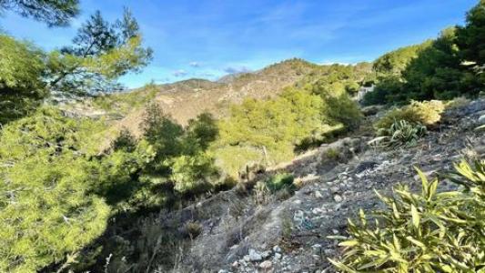 Vente Terrain LA-HERRADURA 04649