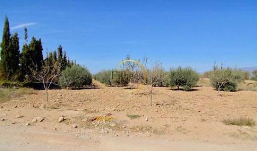 Vente Maison 5 pices LA-PINILLA 30335