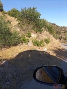 Vente Terrain LENTEGI 18699