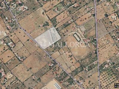 Vente Terrain LLUCMAJOR 07609