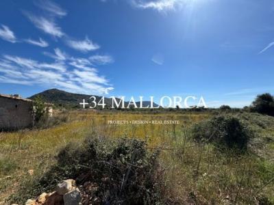 Vente Terrain LLUCMAJOR 07609