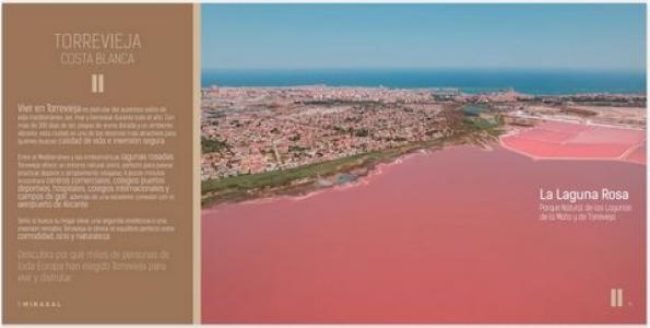 Vente Appartement LOS-ALTOS 03180