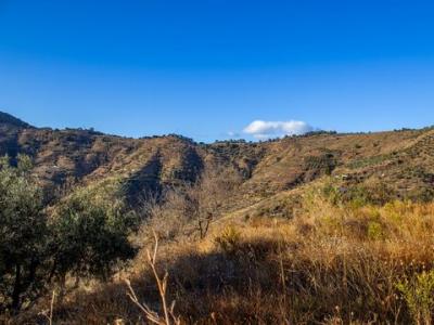 Vente Terrain MALAGA 29001