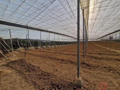 Vente Maison MOLVIZAR 18611