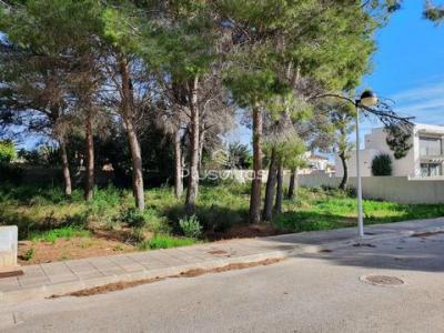 Vente Terrain MORAIRA 03724