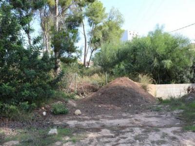 Vente Terrain MORAIRA 03724