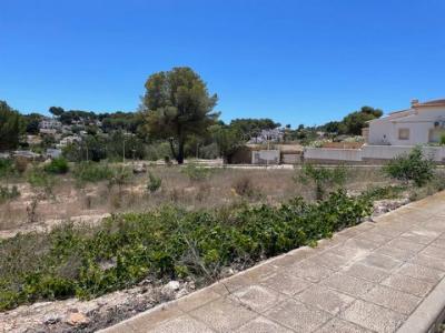 Vente Terrain MORAIRA 03724