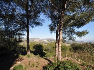 Vente Terrain MORAIRA 03724