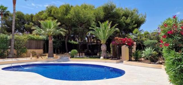 Vente Maison MORAIRA 03724