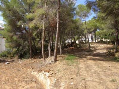 Vente Terrain MORAIRA 03724
