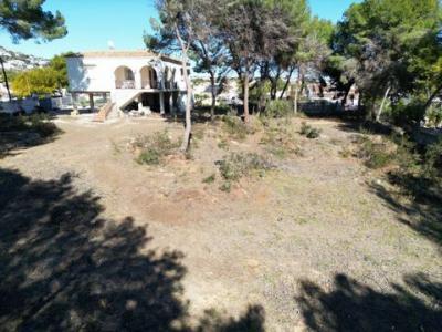 Vente Maison MORAIRA 03724