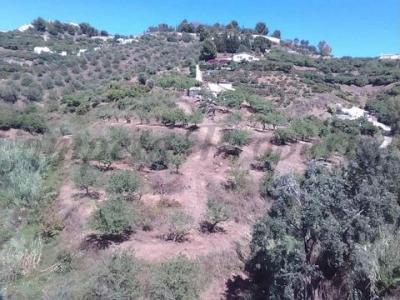 Vente Terrain NERJA 29780