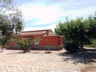 Vente Maison ONTINYENT 46870