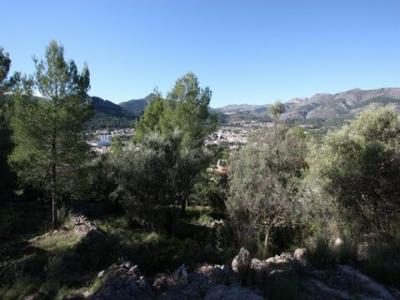 Vente Terrain ORBA 03790