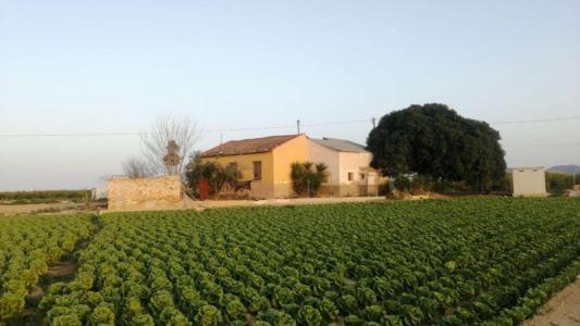 Vente Maison ORIHUELA 03300