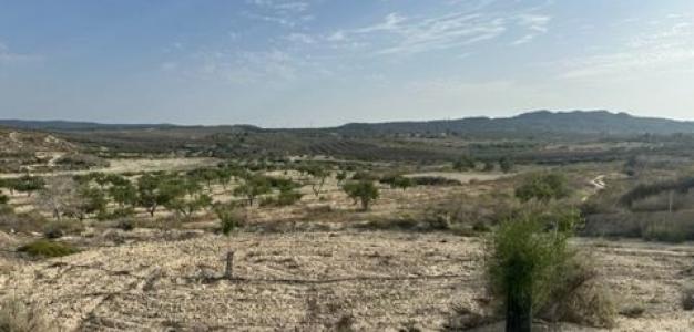 Vente Terrain ORIHUELA 03300